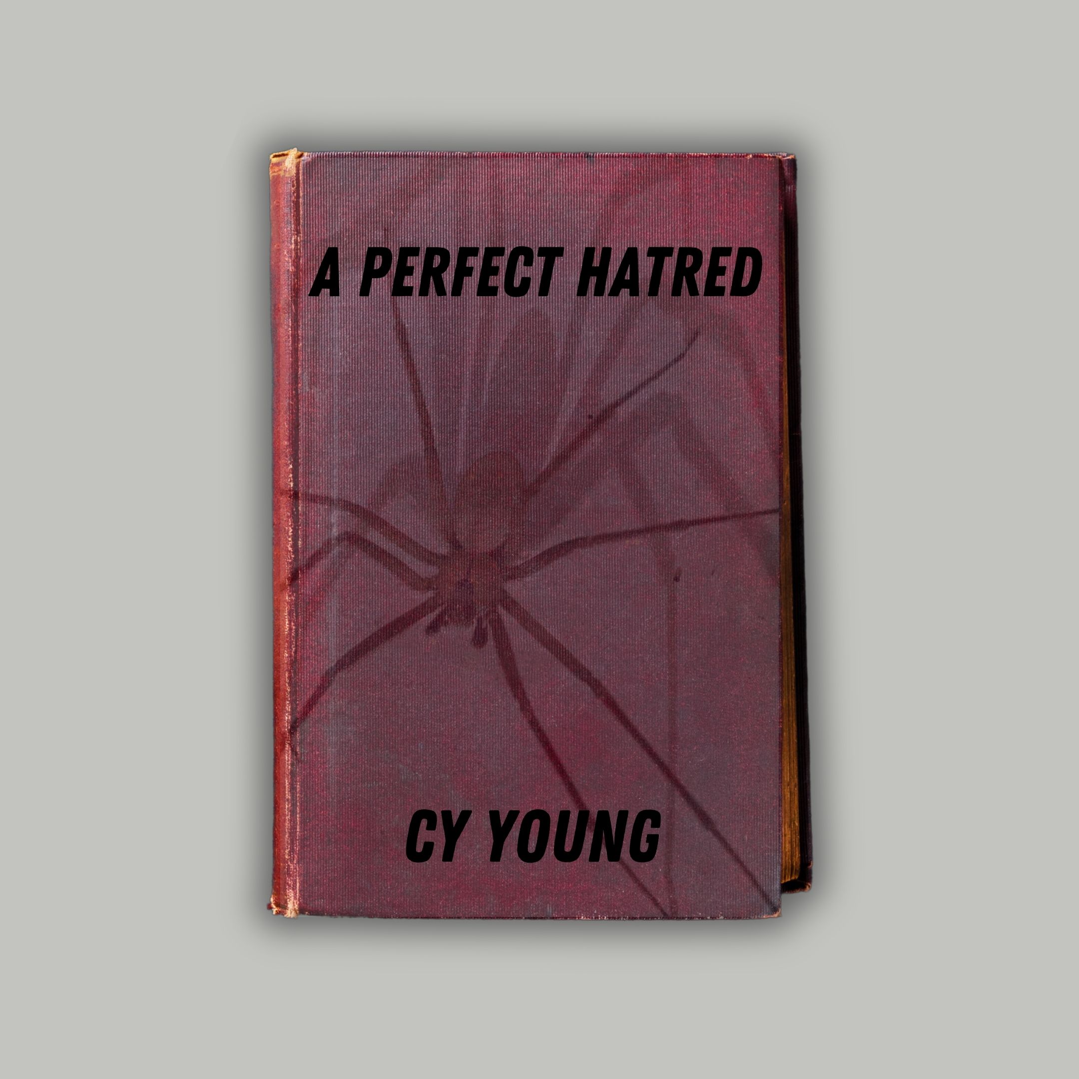 A Perfect Hatred